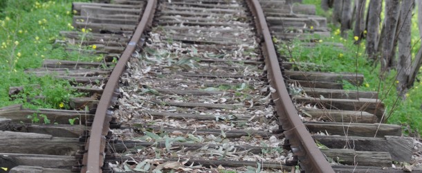 FAENTINA: Salvaguardare e rilanciare la linea