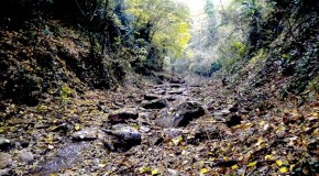 IL TORRENTE BOSSO A GREZZANO: MALFUNZIONAMENTO DELL’IMPIANTO O COLPA DI PUBLIACQUA?