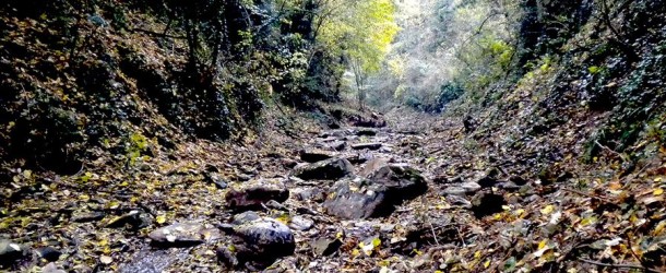 IL TORRENTE BOSSO A GREZZANO: MALFUNZIONAMENTO DELL’IMPIANTO O COLPA DI PUBLIACQUA?